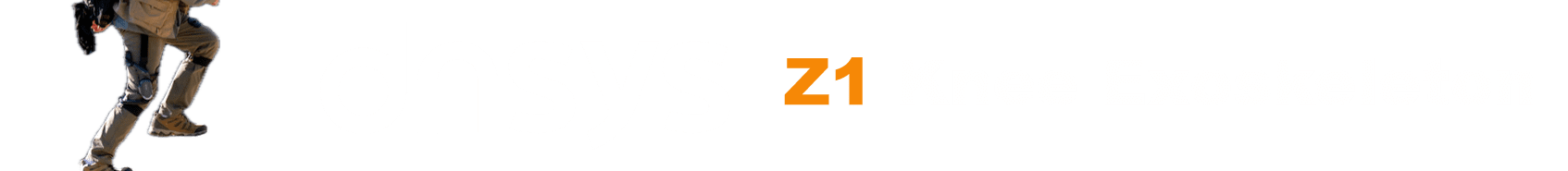 Dynsys Knee Skeleton